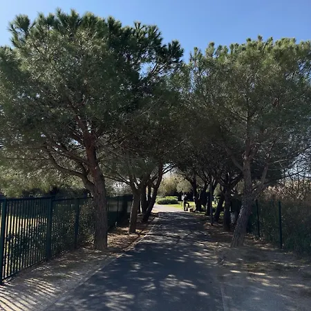 Les Pins Bleus, T2, 4p, Ac, Pk, Et Piscine דירה